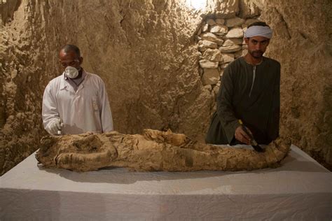 Is the Curse of the Ancient Egyptians Real? Scientists Weigh In